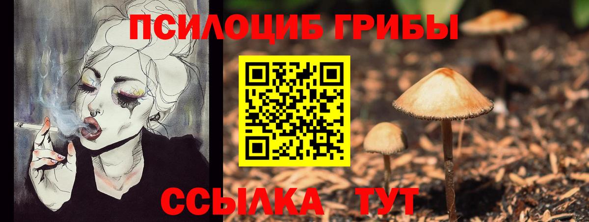 Абакан  Галлюциногенные грибы GOLDEN TEACHER  Вход с VPN  Галлюциногенные грибы прущие грибы 